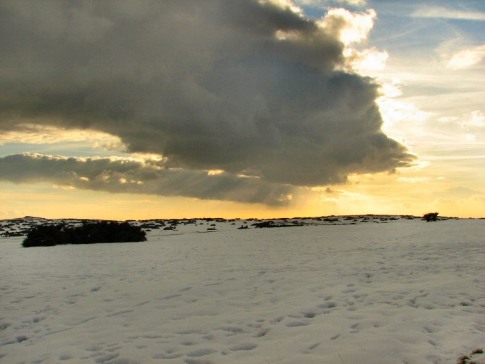 Bodmin Moor November 26 2005