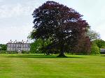 Antony House and Gardens