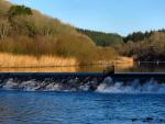 Lopwell Dam