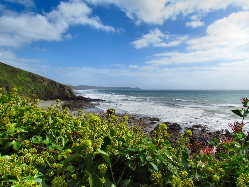 Portwrinkle, Cornwall