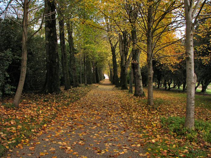 Saltram House