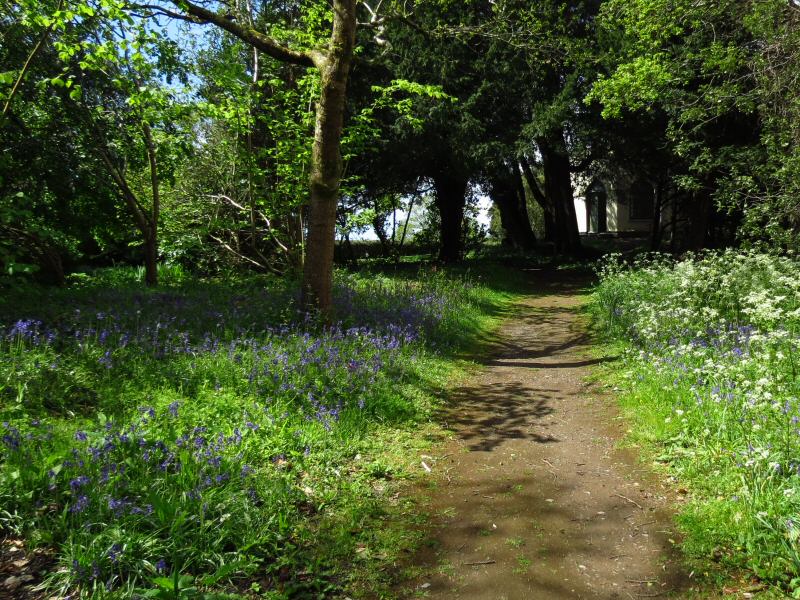 Saltram House