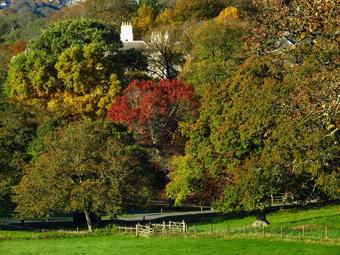 Saltram House