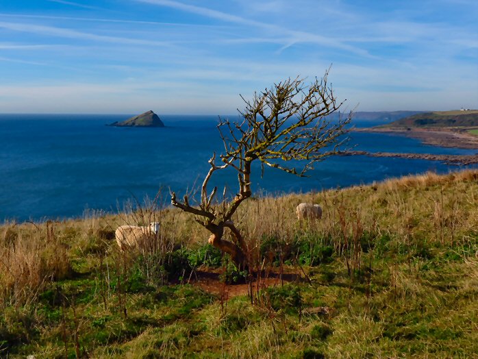 Wembury, South Devon