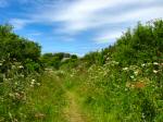 Whitsand Bay