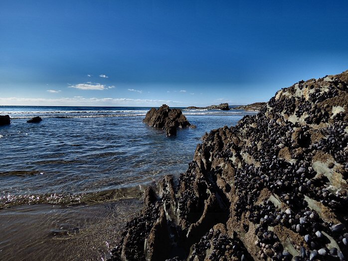 Whitsand Bay - Tregantle