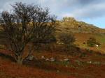 Black Tor, Dartmoor