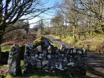  Burrator, Dartmoor