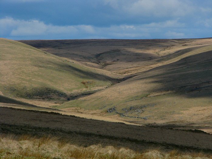 Cowsic Valley, Dartmoor