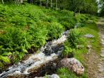 Devonport Leat