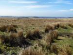 Cramber Tor, Dartmoor