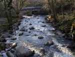 River Plym, Shaugh Bridge, Dartmoor