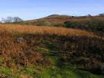 Down Tor, Dartmoor