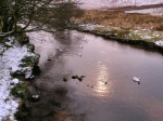 West Dart, Two Bridges