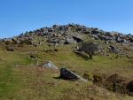 Down Tor, Dartmoor