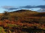 Down Tor, Dartmoor