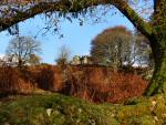 Down Tor, Dartmoor