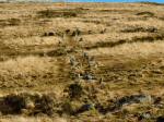 Hart Tor Stone Row