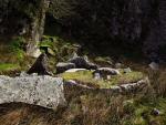 Ingra Tor, Dartmoor