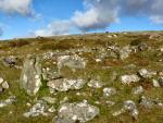 Leeden Tor, Dartmoor