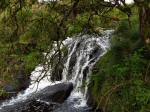 River Meavy