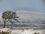 Higher White Tor