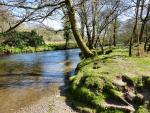 River Walkham, Merrivale