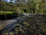 River Walkham, Merrivale