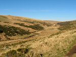 West Dart, near Wistman's Wood