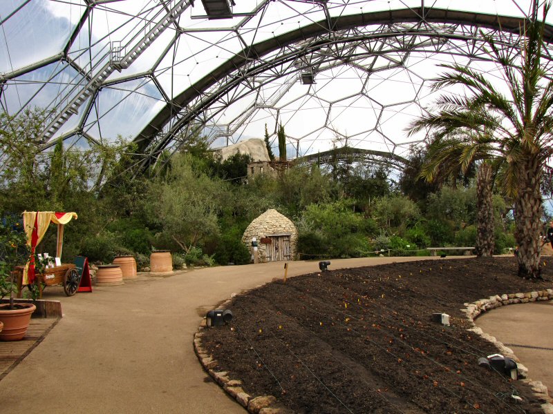 Inside the Mediterranean Biome