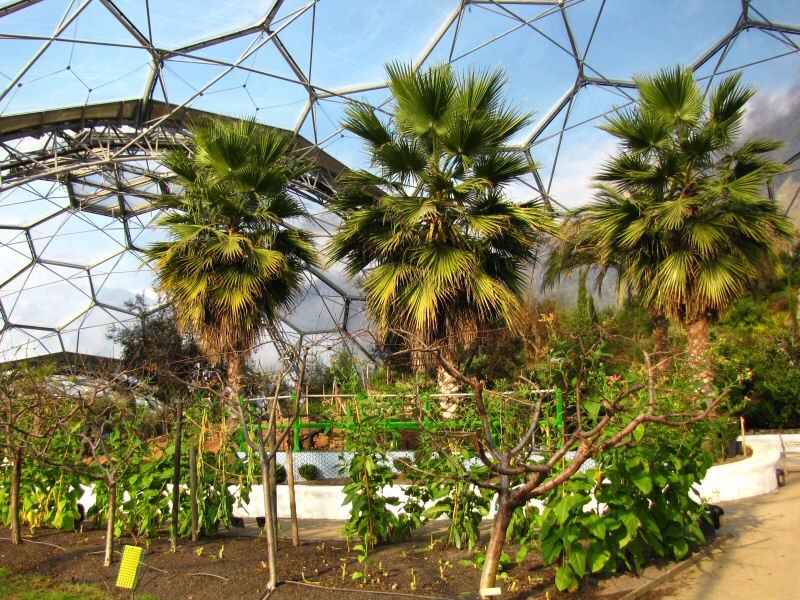 Inside the Mediterranean Biome