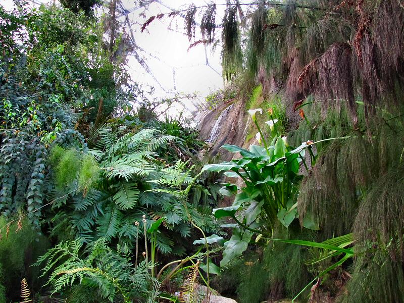 Inside the Mediterranean Biome