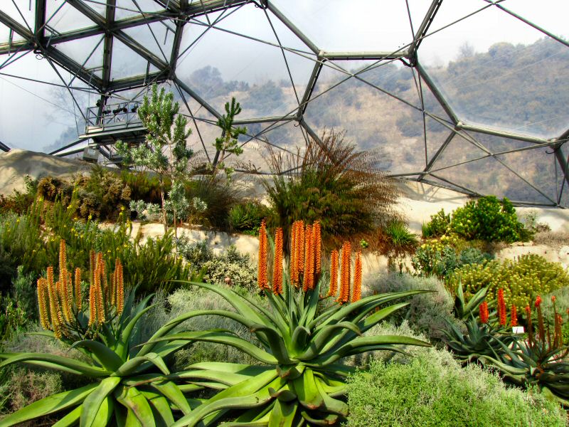 Inside the Mediterranean Biome