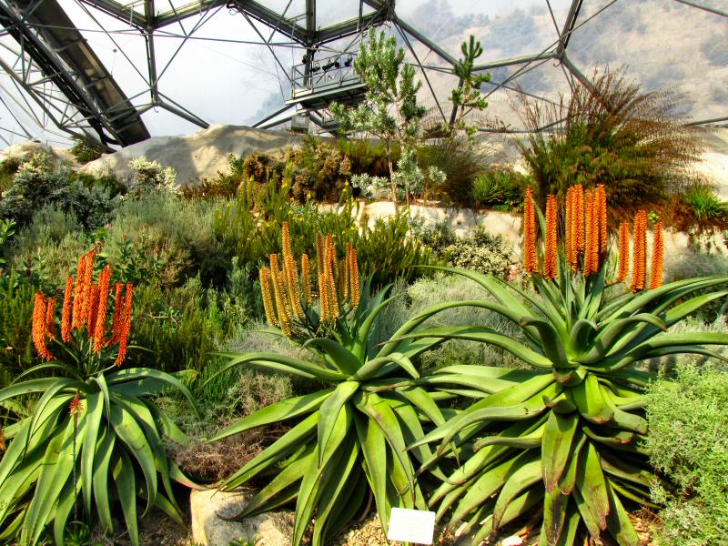 Inside the Mediterranean Biome