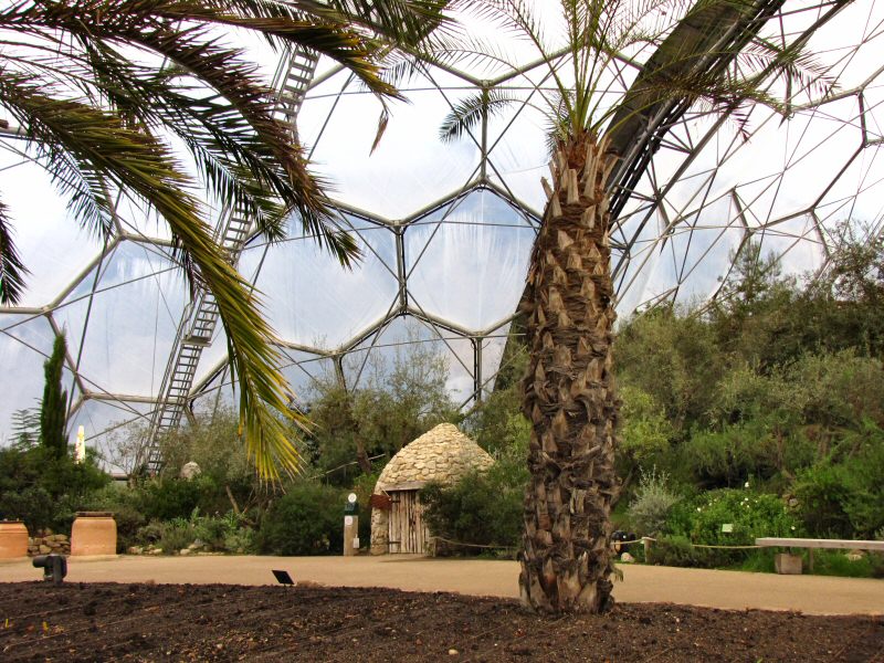 Inside the Mediterranean Biome