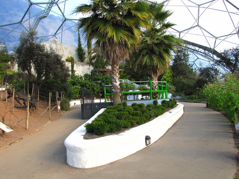 Inside the Mediterranean Biome