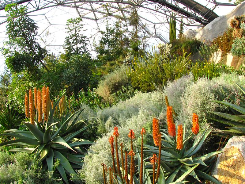 Inside the Mediterranean Biome