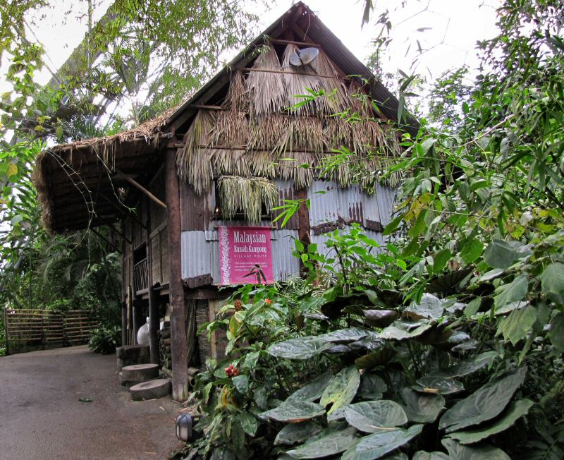 Inside the Rainforest Biome