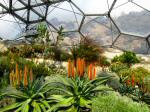 Eden project