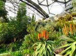 Eden project