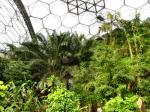 Eden project