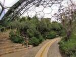 Eden project