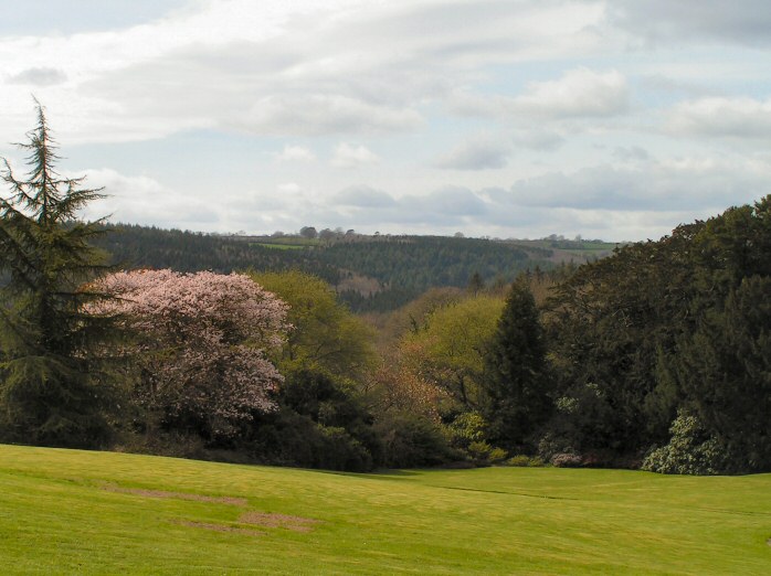 Buckland Abbey - Gardens, Dartmoor