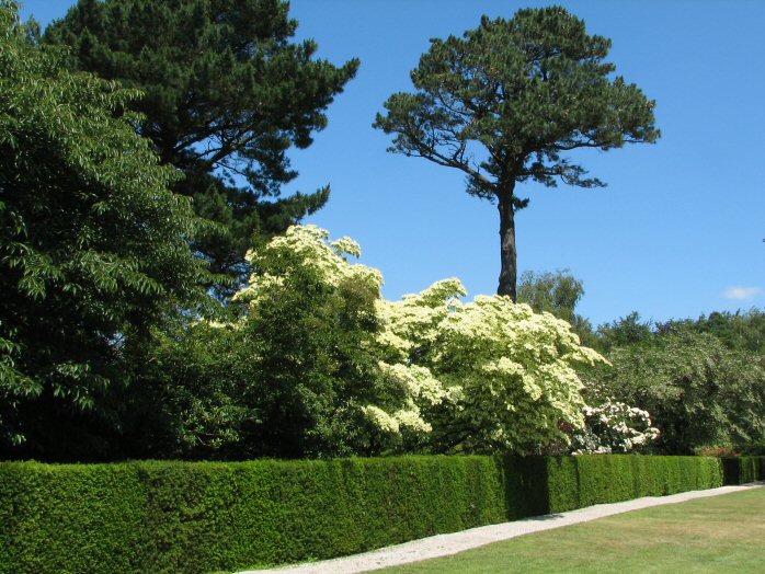 Castle Drogo - Gardens