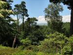 The Informal Garden, Castle Drogo