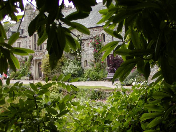 Cotehele, the terraced garden