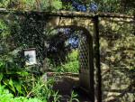 Cotehele Gardens