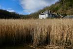 Cotehele Quay