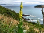 Hannafore to Talland Bay