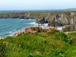 Bedruthan Steps